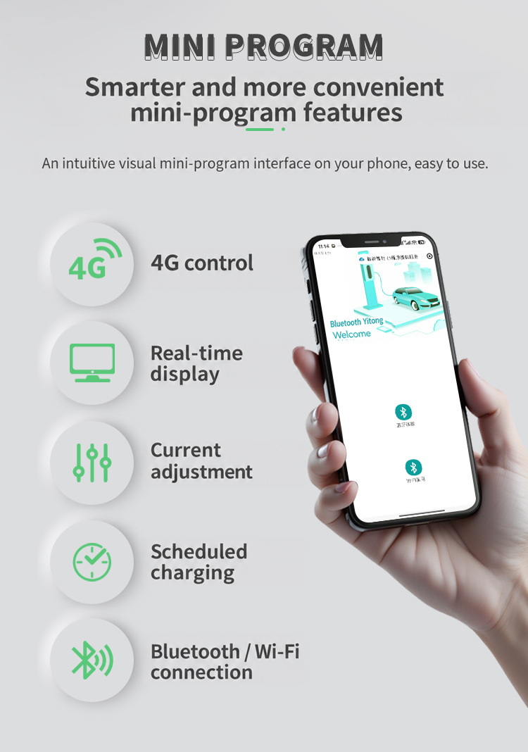 Mini-program interface and features